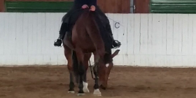 TRUST-YOUR-HORSE - PAUSE in Parkposition